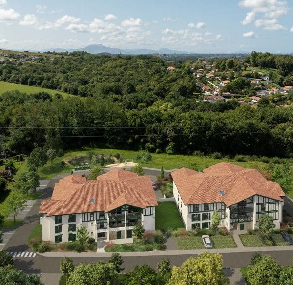 Insertion aérienne d'un programme AEDIFIM intégré aux coteaux du Pays Basque